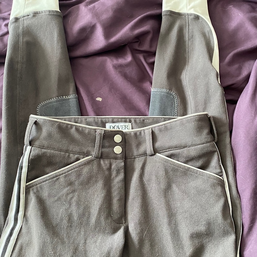 Equestrian breeches